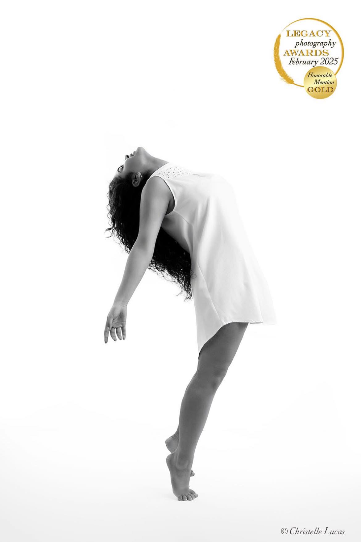 Concours international Legacy Awards : Portrait primé